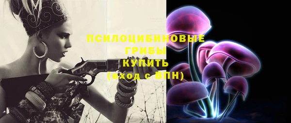 твердый Алзамай