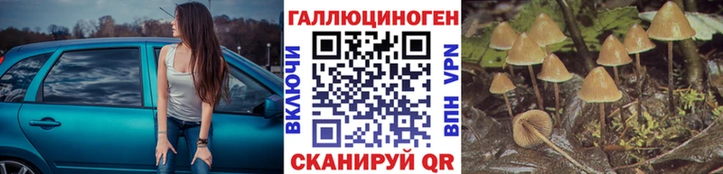 Галлюциногенные грибы MAGIC MUSHROOMS  цена   Волжский 