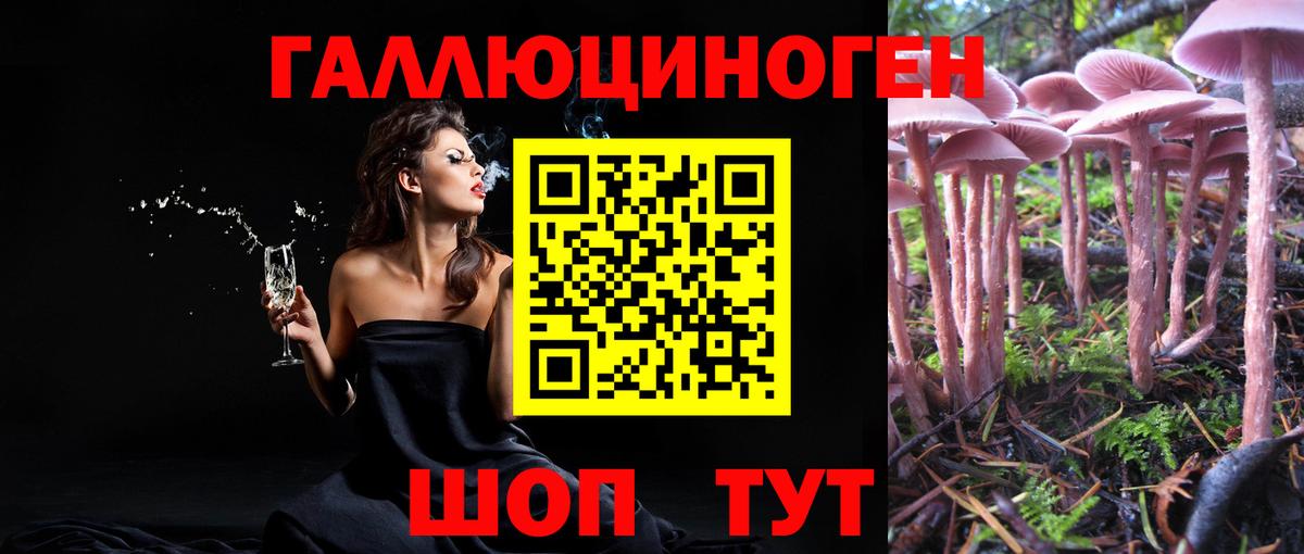 Галлюциногенные грибы прущие грибы Волжский